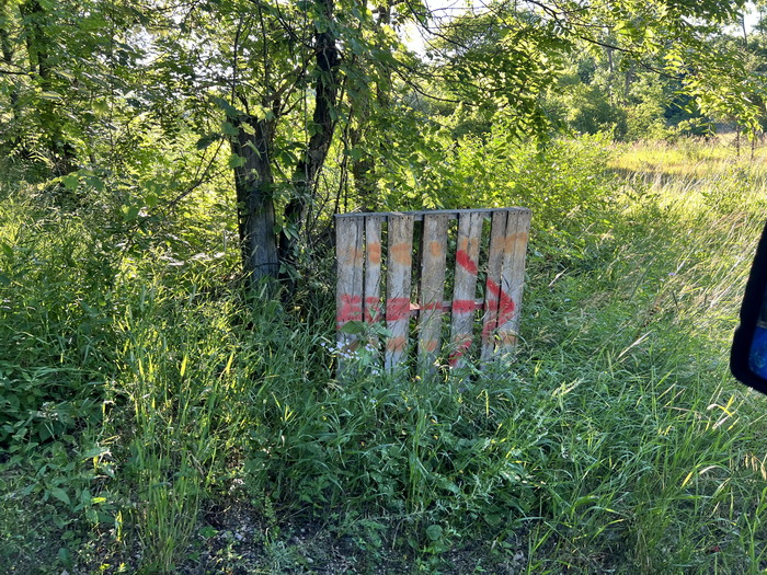 Manchester Speedway - July 9 2022 Photo (newer photo)